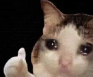 👍 1baee1fd kat, huilen, duim omhoog, meme, dier, verdrietig telegram sticker