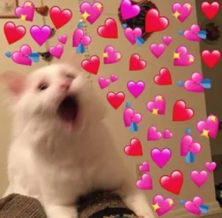 😲 be41eb92 kat, harten, liefde, dieren, schattig telegram sticker