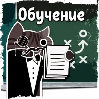 👨‍🏫 45421cc0 Обучение gato, monóculo, smoking, educação, aprendizagem, diagrama telegram sticker