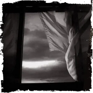 Крёстный Котец @KotecBot whatsapp stickers