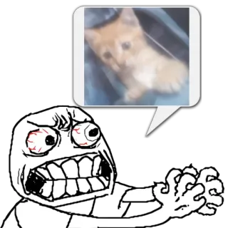 😼 b07f79a4 Meme, Rage Comic, Mèo, Tức giận, Buồn cười, Meme trên mạng telegram sticker