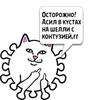 😼 1d1d3174 ОСТОРОЖНО!
АСИЛ В КУСТАХ
НА ШЕЛЛИ С
КОНТУЗИЕЙ,ГГ kucing, jari tengah, stiker, menyinggung, rusia telegram sticker