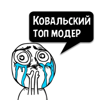 😼 f0dfd181 Ковальский ТОП МОДЕР meme, menangis, Kowalski, top, moderator telegram sticker