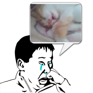 😼 946b8cb8 泣く, ミーム, 猫, 夢, 睡眠, 感情 whatsapp sticker