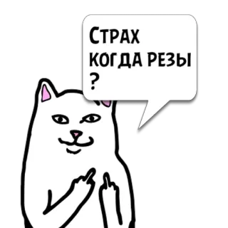 😼 fceb4383 СТРАХ
КОГДА РЕЗЫ
? gatto, dito medio, offensivo, adesivo, scortese, insultante telegram sticker
