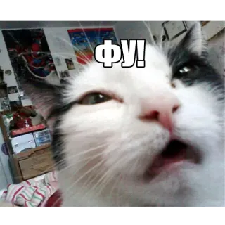 🙊 a49d9d2c ФУ! кот, отвращение, выражение, русский whatsapp sticker
