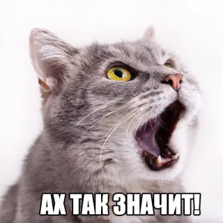 😨 e39a68d8 АХ ТАК ЗНАЧИТ! кот, злой, мем, русский, животное whatsapp sticker
