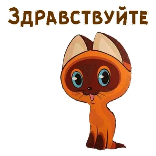 ☺️ 294a14b0 ЗДРАВСТВУЙТЕ 卡通, 猫, 俄语, 问候 telegram sticker