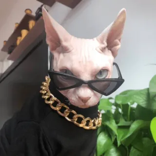 котики х2 @zauxsa @emojis4 telegram stickers