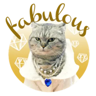 👑 89054f1d Katze, Diamanten, Schmuck, Haustier, Tier whatsapp sticker