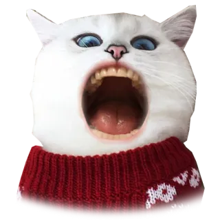 😡 02900499 gatto, urlante, maglione, divertente, meme telegram sticker