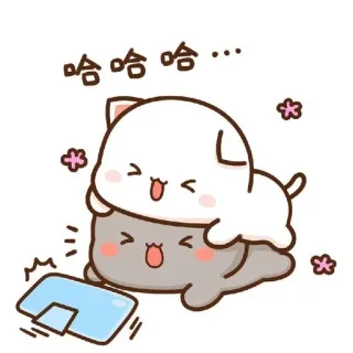 😡 00a1acb6 哈哈哈哈... chat, mignon, dessin animé, kawaii, rire, drôle whatsapp sticker