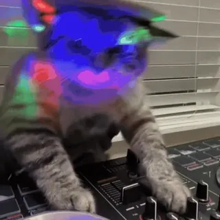🤩 e32dce32 gato, DJ, música, animal, fiesta, entretenimiento telegram sticker
