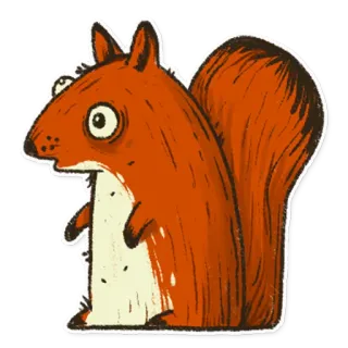 😳 2cc7352d wiewiórka, zwierzę, dzika przyroda, natura, słodki, kreskówka, naklejka telegram sticker
