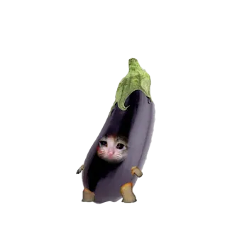🍆 0f5fa26e kucing, terong, kucing sedih, lucu, meme, stiker, hewan, sayur whatsapp sticker