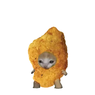🍗 16604e61 kucing, nugget ayam, lucu, meme, hewan, makanan, hewan peliharaan whatsapp sticker