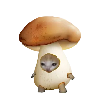 🍄 3d8be7e1 kucing, meme, jamur, sedih, imut, lucu, hewan whatsapp sticker