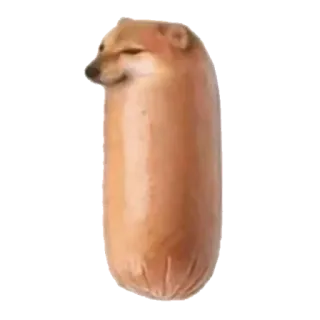 🌭 3fd6fedb anjing, Cheems, sosis, makanan, meme, binatang, lucu, meme internet whatsapp sticker