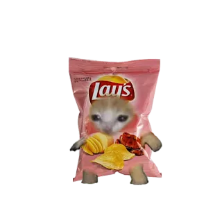 🍿 82717d63 Lays kucing, anak kucing, keripik, Lays, camilan, lucu, meme whatsapp sticker