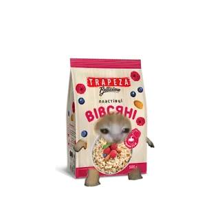 🍚 8b388c98 Trapeza sereal, sarapan, oatmeal, kucing, lucu, humor, makanan whatsapp sticker