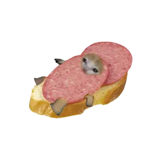 🥪 da8faaaa makanan, salami, roti, sandwich, meme, kucing whatsapp sticker