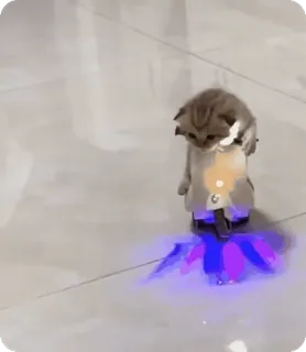 🌟 6523a12e kucing, binatang, imut, robot, hewan peliharaan, anak kucing, lucu whatsapp sticker