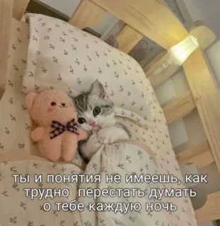 💕 90a96868 ты и понятия не имеешь, как
трудно перестать думать
*о тебе каждую ночь cat, kitten, teddy bear, bed, cute, sleepy, love, romantic telegram sticker