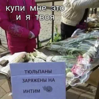 мы @emojipipka @loveirony whatsapp stickers