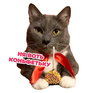 🥰 43ee8b2f на вот конфетьку kucing, lolipop, permen, rusia, stiker telegram sticker