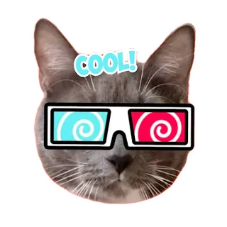 👍 50e326b3 COOL! kucing, kacamata, keren, stiker, hewan telegram sticker
