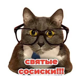 😱 c000ea32 святые сосиски!!! kucing, kacamata, dasi, rusia, ekspresi telegram sticker