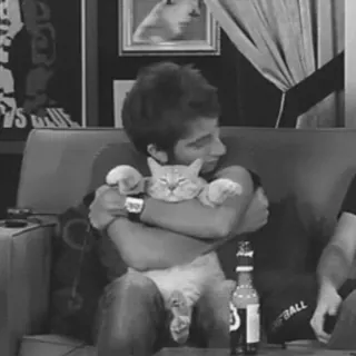 😽 c91f7709 Katze, Haustier, Mann, Umarmung, Couch, Freundschaft telegram sticker
