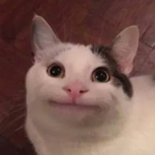 Жиза telegram stickers