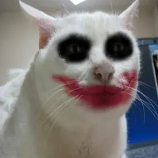🤡 8572f4fd Joker kucing, joker, badut, makeup, meme, lucu, seram telegram sticker