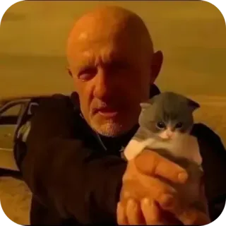 ✋ 871a7b20 mężczyzna, kot, kotek, mem telegram sticker