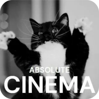 🐱 f90f788a ABSOLUTE CINEMA kot, kino, film, rozrywka telegram sticker