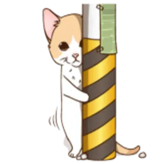 👀 72160bc7 kucing, binatang, stiker, lucu, anak kucing, kartun telegram sticker