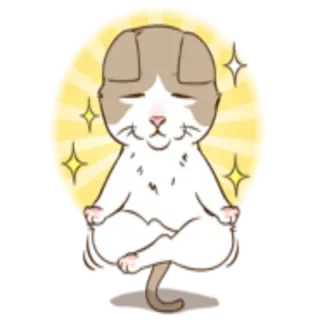 🧘‍♂ 857c2417 kucing, meditasi, yoga, damai, kawaii, lucu, Zen telegram sticker