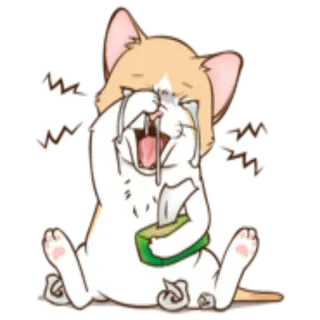 😿 959a2f40 kucing, menangis, sedih, emosi, kawaii, berkaca-kaca, tisu telegram sticker