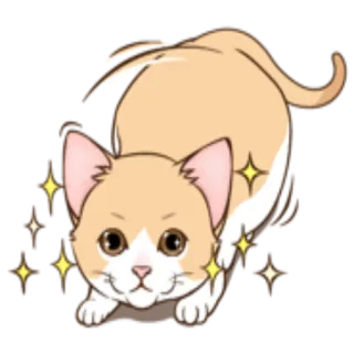 😸 af128863 kucing, binatang, lucu, ceria, anak kucing, hewan peliharaan, domestik telegram sticker