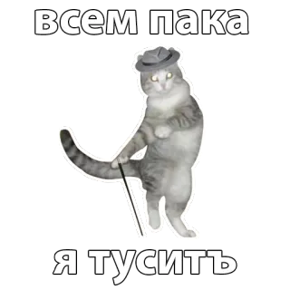 💃 658a7dcb Всем пака
Я тусить кот, шляпа, трость, приветствие, вечеринка telegram sticker