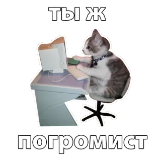 💻 e9786457 ТЫ Ж 
ПОГРОМИСТ кот, компьютер, программист, погромщик telegram sticker