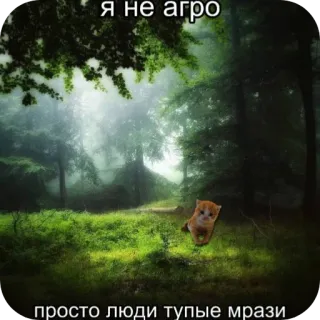 😔 1e62204d я не агро
просто люди тупые мрази gatto, foresta, offensivo, insulto, russo, animale, meme telegram sticker