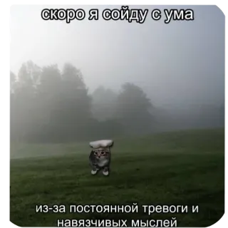 😶 29a9aa11 скоро я сойду с ума
из-за постоянной тревоги и навязчивых мыслей gatto, ansia, meme, russo, salute mentale, nebbia telegram sticker