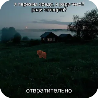 😭 33d76500 я пережил среду, и ради чего?
ради четверга?
отвратительно Meme, Russo, Testo, Gatto, Villaggio, Campo telegram sticker