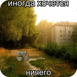 🙁 c32b1eb8 иногда хочется
ничего natura, tramonto, gatti, tè, carino, testo telegram sticker