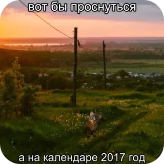 😺 04d0fffc вот бы проснуться а на календаре 2017 год kucing, alam, pemandangan, matahari terbit, 2017, kalender, mimpi, tahun telegram sticker