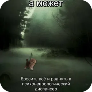 🤔 5bc2cbca а может бросить всё и рвануть в психоневрологический диспансер kucing, meme, rusia, humor, lucu, kesehatan mental, rumah sakit telegram sticker