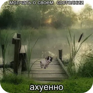 🥰 68ba2ef2 молчать о своем состоянии
ахуенно kucing, danau, alam, anak kucing, suasana hati, meme telegram sticker