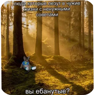 😠 83d8776d люди которые лезут в чужие жизни с ненужными советами
вы ебанутые? kucing, hutan, ofensif, nasihat, meme telegram sticker